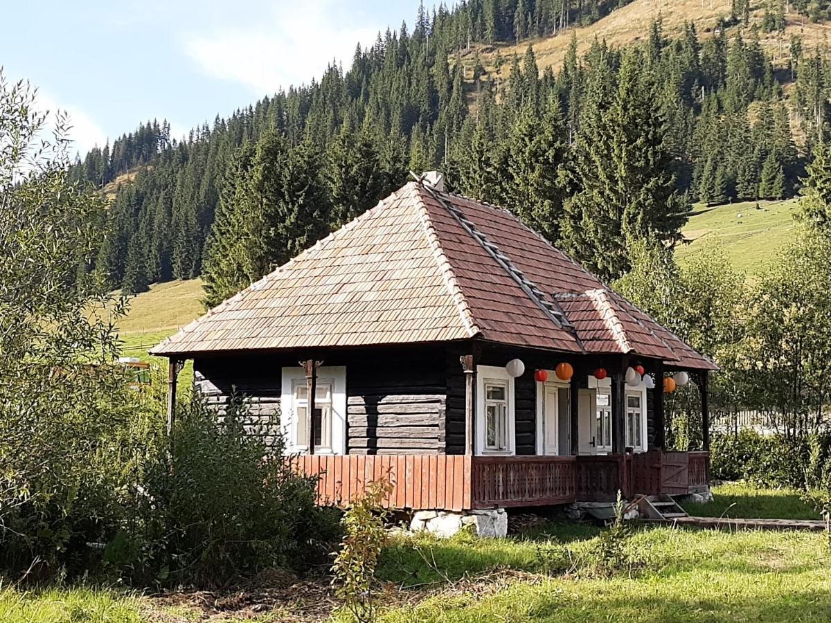 La Malu' Bistritei - Casutele Valea Stanii Hotel Exterior photo